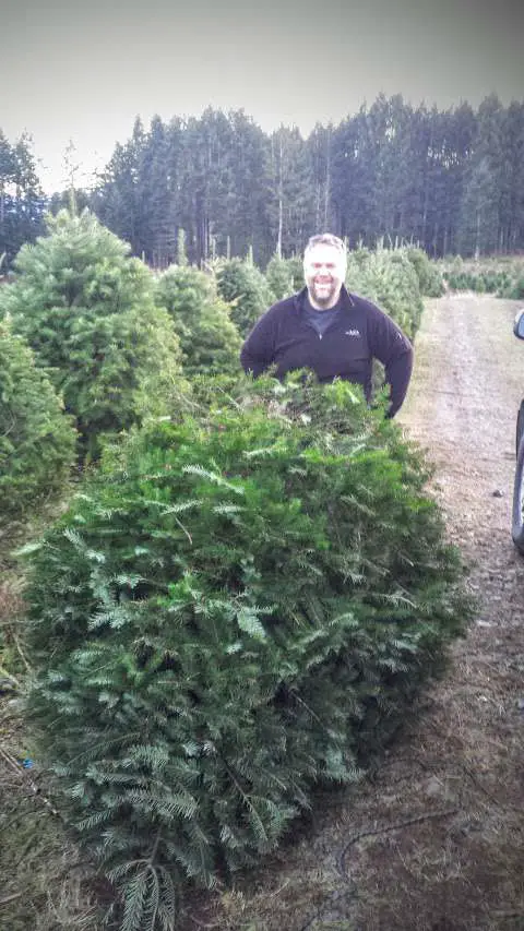 Gogo's Christmas Tree Farm